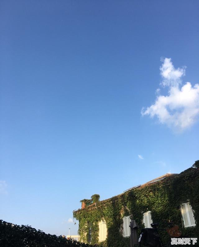 5、我想出去旅游，不知道去哪好，有哪些推荐吗，热门游戏在哪里玩好一点 - 真时天下