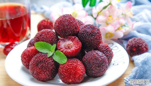 1、大红杨梅多少一斤，今日杨梅价格 - 真时天下