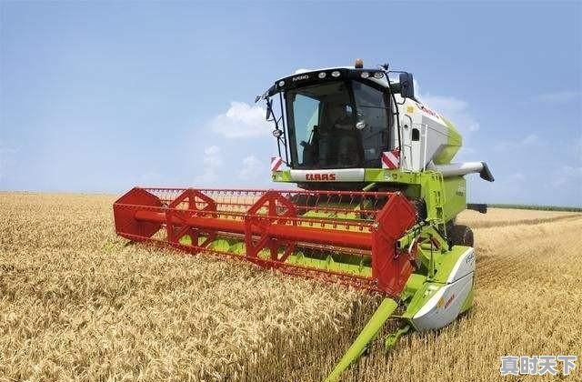 2、谁知道今日吉林省榆树市生猪价格，今日梨树生猪价格 - 真时天下