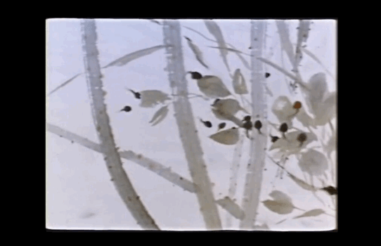 11、能不能推荐几部画风好看,内容精彩的国漫电影,动漫推荐国漫三个字的电影 - 真时天下