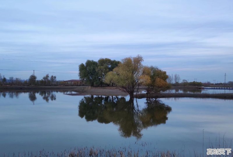 5、哈尔滨未来一周天气穿什么衣服，哈尔滨天气天气 - 真时天下