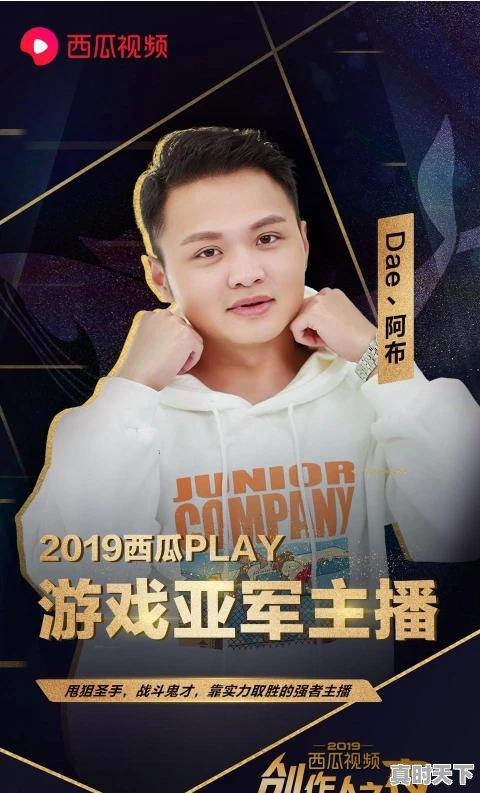 2、游戏主播怎么赚钱,各大热门游戏收入排行 - 真时天下