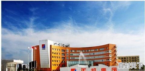 1、股票刚刚解禁能涨吗？还是跌？如正邦科技，正邦科技股票还能涨上来吗 - 真时天下