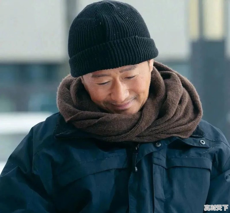 3、锦衣卫十部巅峰电影，甄子丹最新电影排行榜前十名 - 真时天下