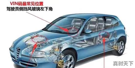 1、买二手车光查车架号可以吗,二手车鉴定需要车架号吗 - 真时天下