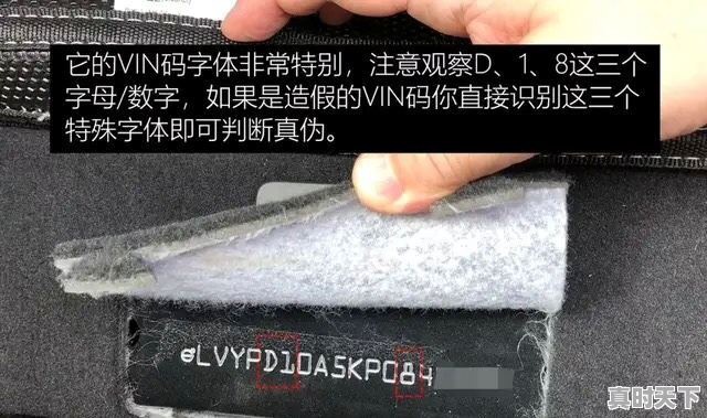 5、买二手车光查车架号可以吗,二手车鉴定需要车架号吗 - 真时天下