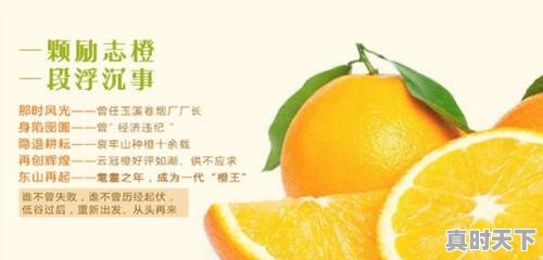 1、2022年春节橙子会涨价吗，今日橙子价格 - 真时天下