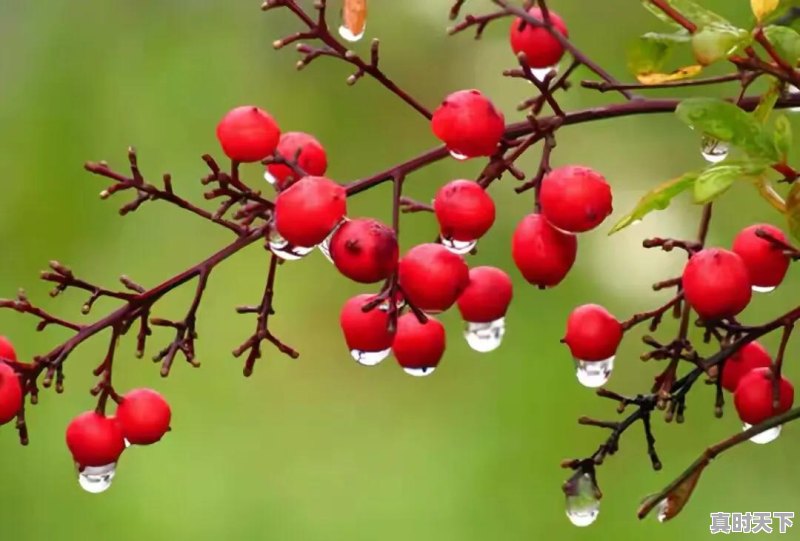 2、兰州建奥体中心的原因,甘肃科技创新快车道 - 真时天下