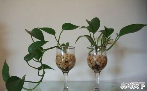 2、春天的天气有哪些特点,春天的天气 - 真时天下