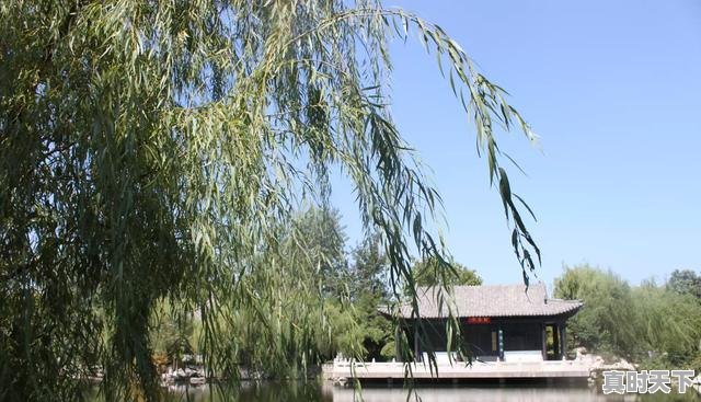 5、三十多的女人喜欢看动漫电影正常吗,动漫推荐女生喜欢看的电影有哪些 - 真时天下