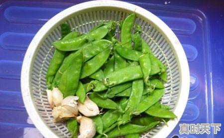 1、荷兰豆的做法,今日荷兰豆价格 - 真时天下