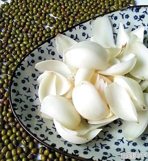 7、荷兰豆的做法,今日荷兰豆价格 - 真时天下