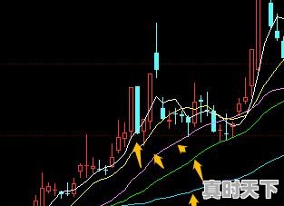 一名短线天才的分享：何为超短线的最高境界，股票短线超短线 - 真时天下