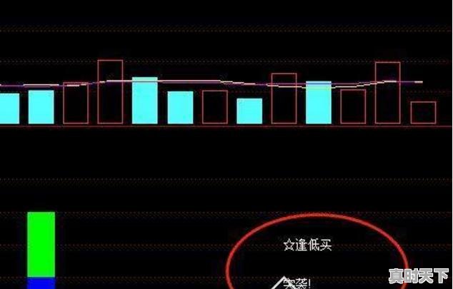 为什么说"如果一家上市公司永远不分红,那么它的股票将毫无价值."，股票不分红买股票有什么意义吗 - 真时天下