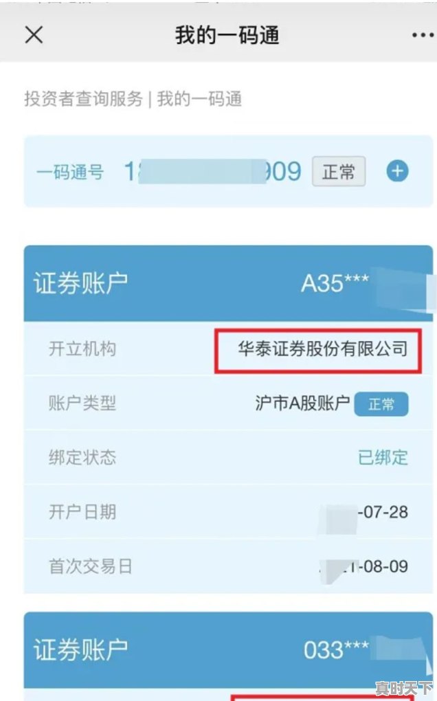 网上如何查询自己名下的股票账户，怎么查名下股票 - 真时天下