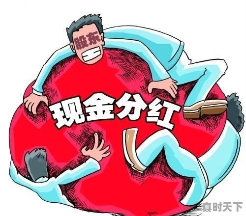 股票分红前买入好不好，在股票分红前一天买 - 真时天下