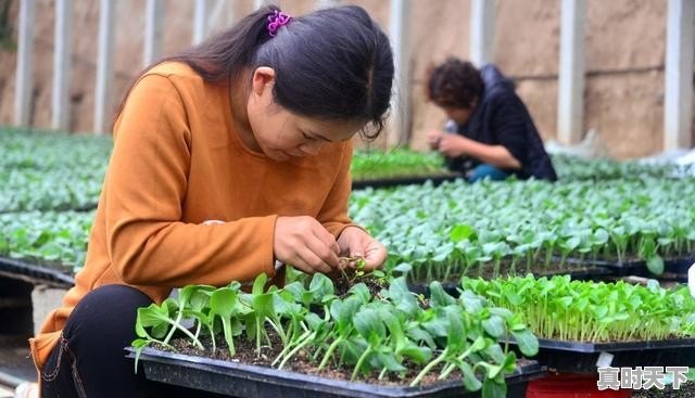 2、15℃钓螺蛳青怎么选位置，青天气 - 真时天下