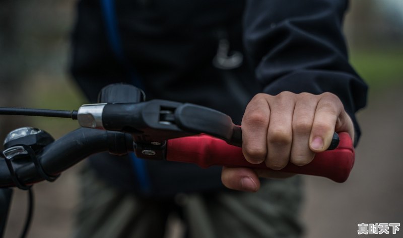 1、扫黑行动电影票房，张智霖最新电影上映2022 - 真时天下