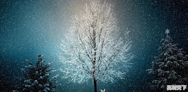 1、今年冬天会更冷吗，今年天气冷 - 真时天下