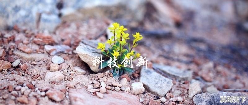 科技创新2030重大项目有哪些，近期国家重大科技创新 - 真时天下