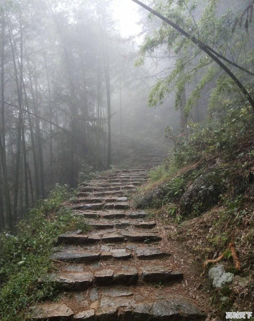 清远的天气怎样啊,冬天会冷么,清城区环境怎样，清远市天气 - 真时天下