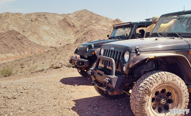 1、知识大v头条号排名榜,二手车孟先生 - 真时天下