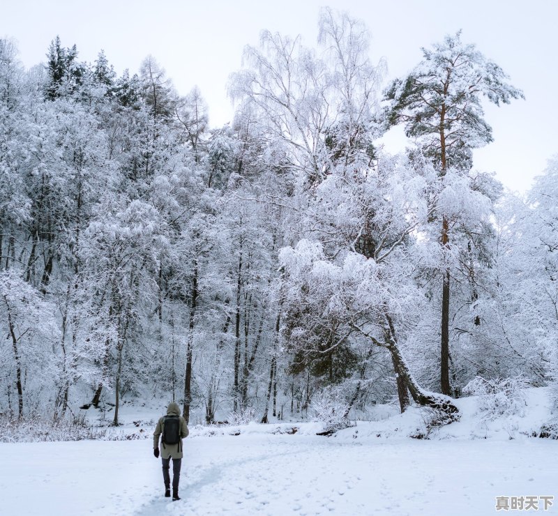 汾阳去中阳县路有雪吗，汾阳天气 - 真时天下