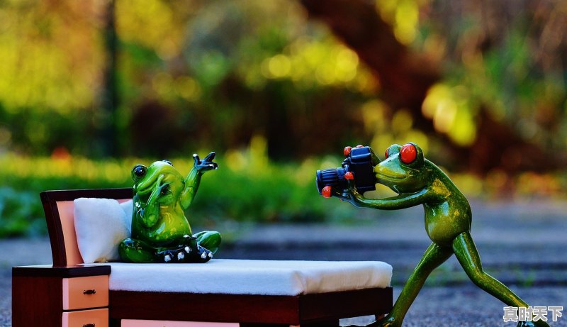 1、什么游戏名字好听,热门游戏类型有哪些游戏名字好听点 - 真时天下