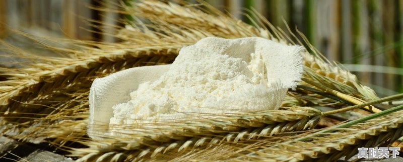 1、氧化铝空心球砖价格，多少钱吨，今日氧化铝粉价格 - 真时天下