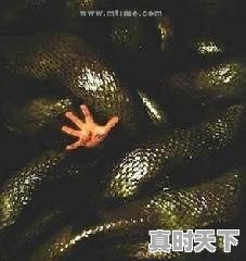 3、好莱坞历史上口碑最好的20部电影,近期最新电影美国 - 真时天下