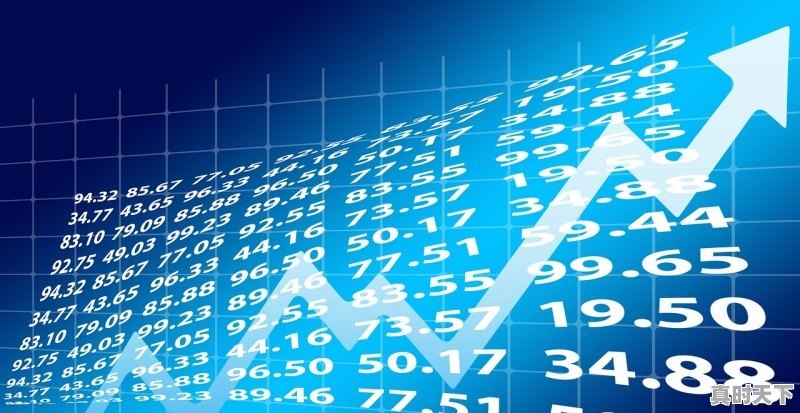 1、中证白酒基金怎么亏，白酒股票行情最新消息走势 - 真时天下