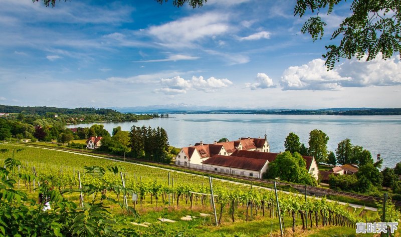 1、凉都荣华酒多少钱，荣华股票行情最新消息 - 真时天下