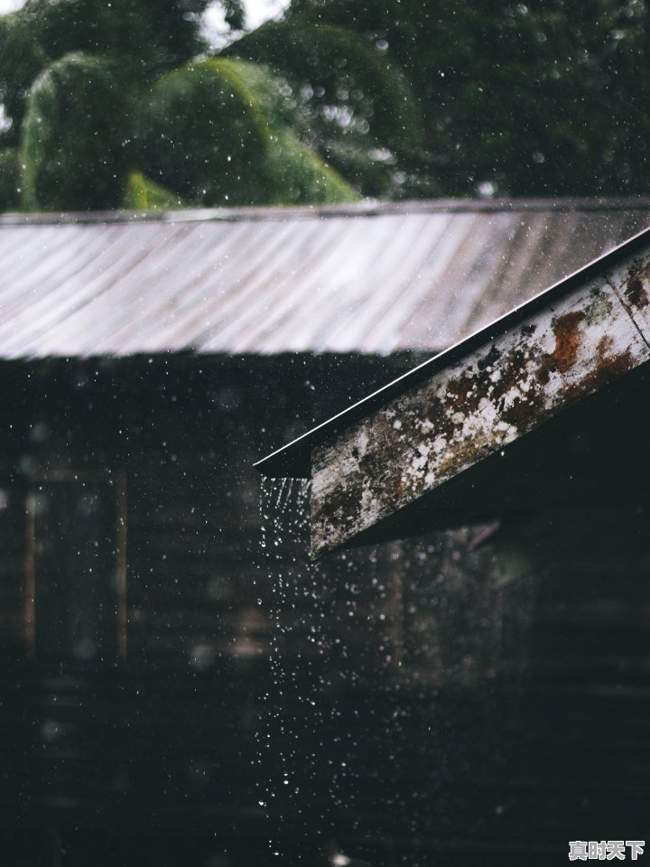 描写“杭州西湖雨”的诗句有哪些,西湖上午去还是下午去 - 真时天下