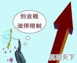 台湾高端股票实时行情,台湾高端股票实时行情 - 真时天下