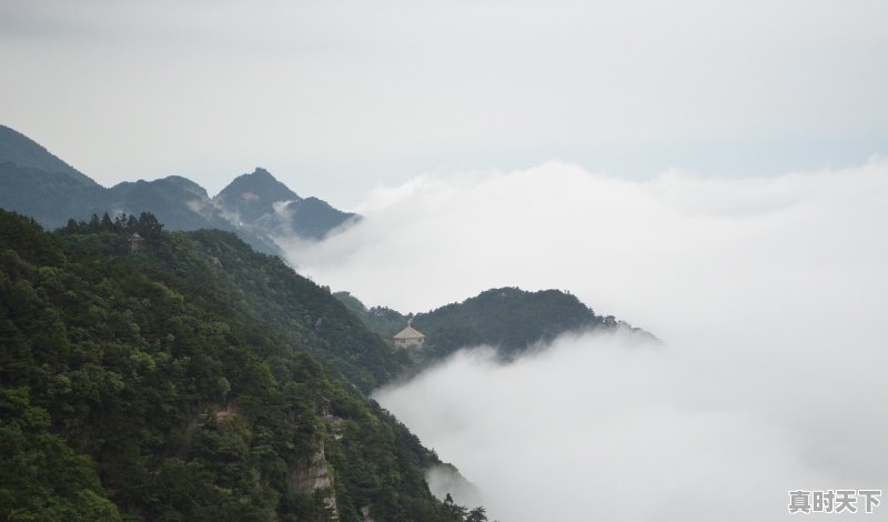 庐山电影节有什么用_2020庐山国际电影节的主题是什么 - 真时天下