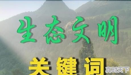 好看好听的游戏名字_游戏起什么名字好听 - 真时天下