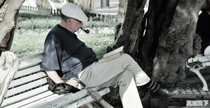 1、2015韩国和日本最新好看的电影有哪些,电影推荐韩国最新电影 - 真时天下