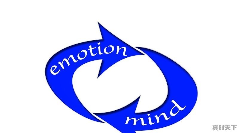 1、创新求变的心态和感悟_公司周年庆自主创新获奖感言 - 真时天下