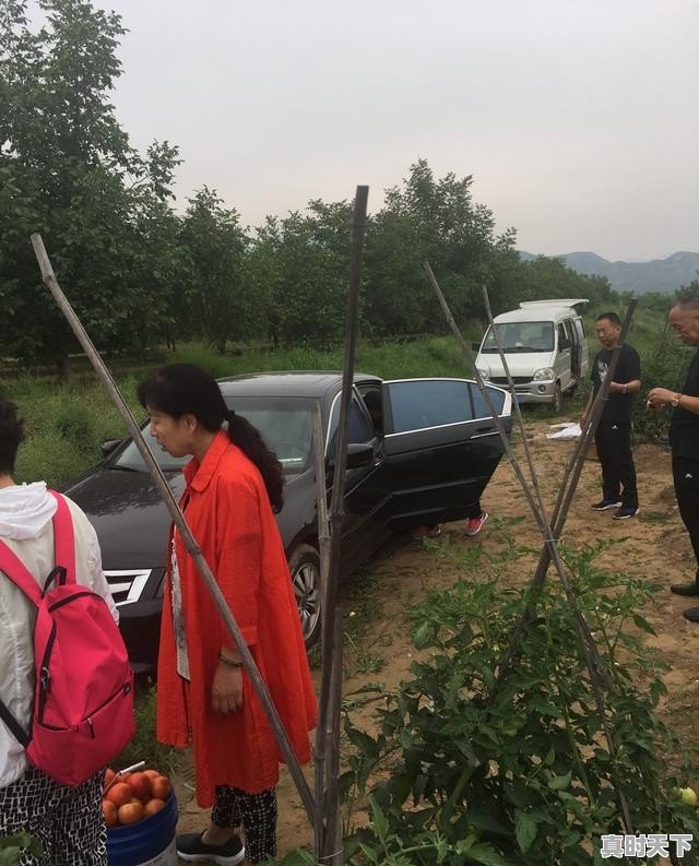 本溪小市铁锅炖鱼哪家好，小市天气 - 真时天下