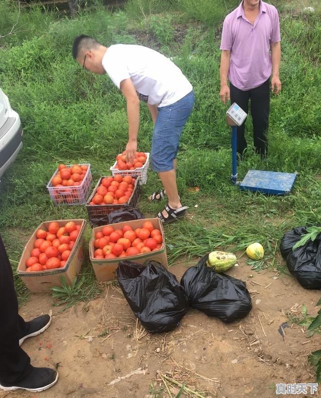 本溪小市铁锅炖鱼哪家好，小市天气 - 真时天下