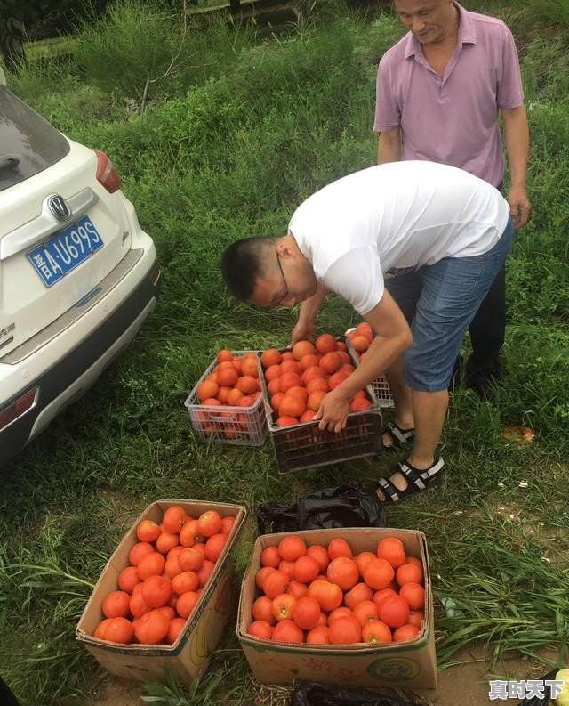 本溪小市铁锅炖鱼哪家好，小市天气 - 真时天下