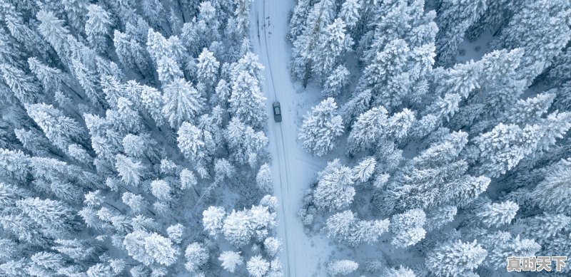 汾阳去中阳县路有雪吗，中阳天气 - 真时天下