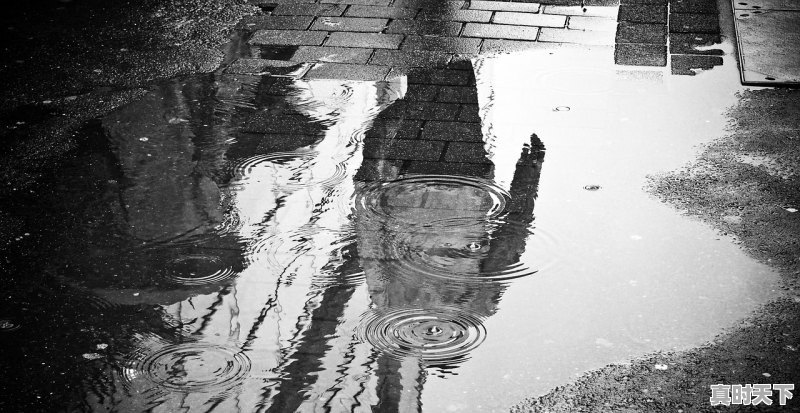 1、马东锡电影犯罪都市2,最新电影推荐2022韩国动作片有哪些 - 真时天下