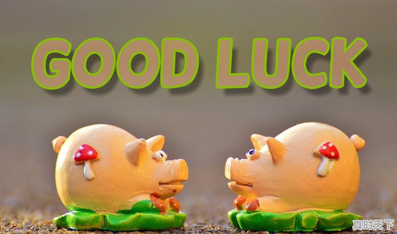 1、网游吃鸡叫什么名字，推荐热门游戏端游有哪些游戏名字好听 - 真时天下