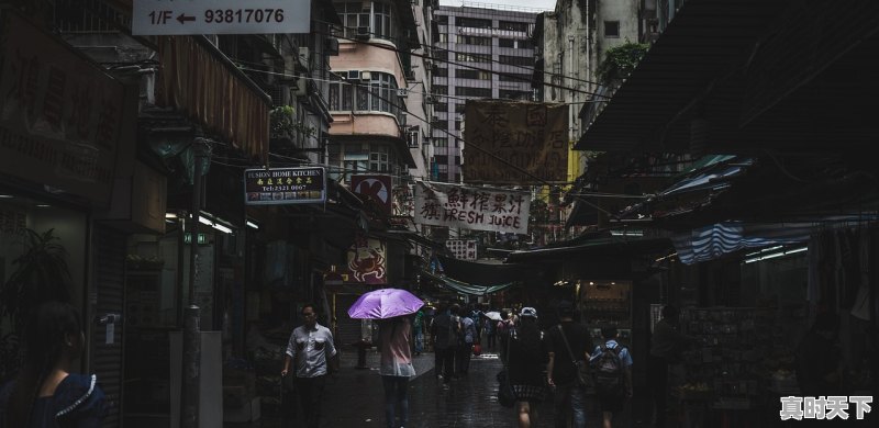 丝绸之路电影节是几月几号，西安新丝路电影节 - 真时天下