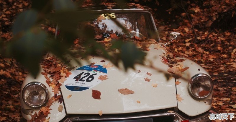 1、二手车同行可批的车怎么样，二手车商开什么车好 - 真时天下