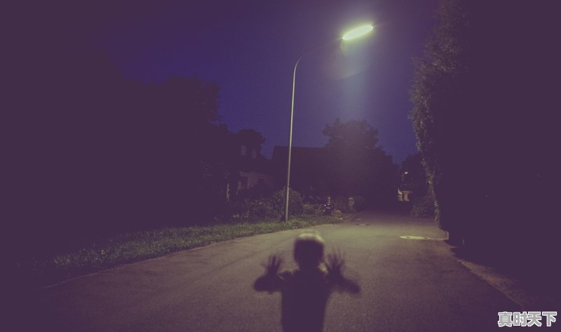 1、2021必看十部恐怖电影国产,最新电影僵尸片排行榜 - 真时天下