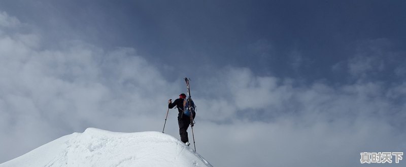 2022年5月20日上映的电影有哪些,最新电影推荐2022五月上映 - 真时天下