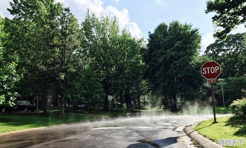 1、滕州气候,山东滕州天气 - 真时天下