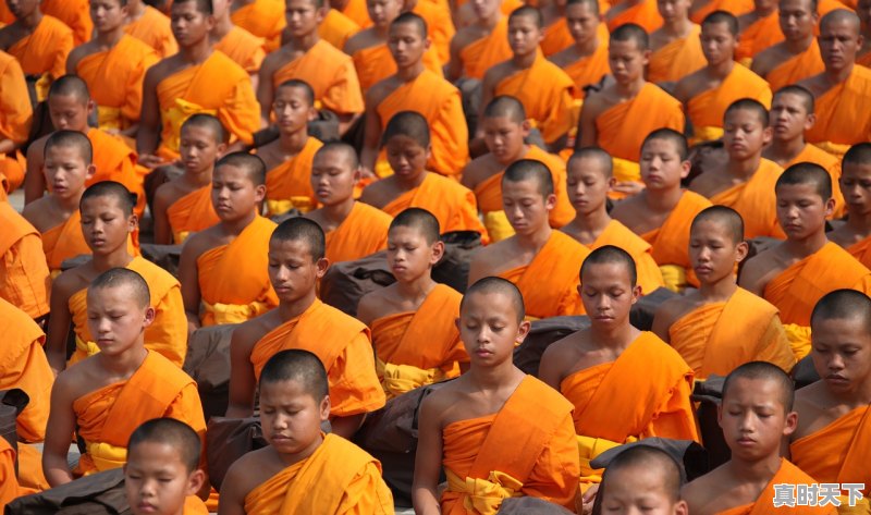 1、戛纳影帝含金量排名,戛纳电影节影帝有哪些人参加 - 真时天下